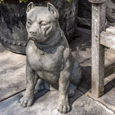 Photo of Campania Lucky - Exclusively Campania